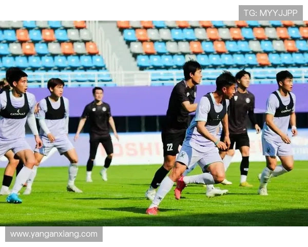 杭州足球队边路渗透战术解析与实战应用探讨