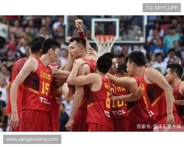 武汉排球队运营分析：成功经验与失误教训的深度剖析